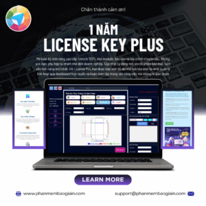 License Plus 1 năm